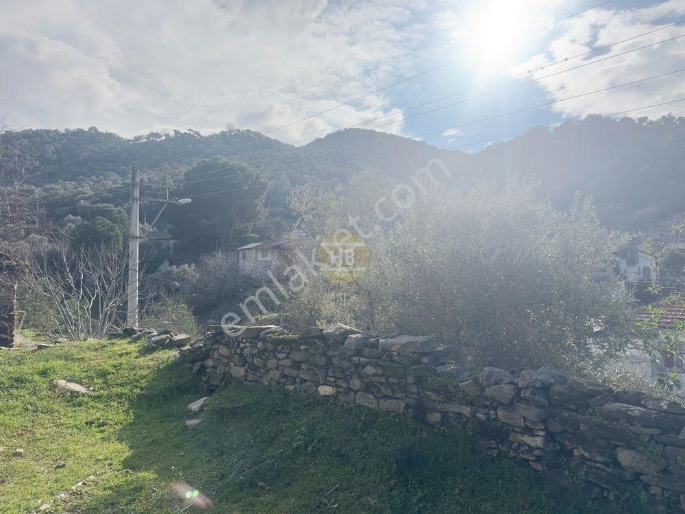 Hb'den Satılık Arsa, 497 M² Köy İçi İmarlı, Doğanın Kalbinde - Görsel 19