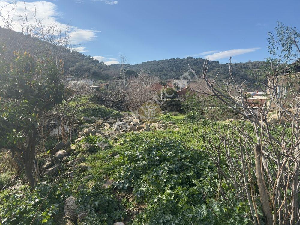 Hb'den Satılık Arsa, 497 M² Köy İçi İmarlı, Doğanın Kalbinde - Görsel 13