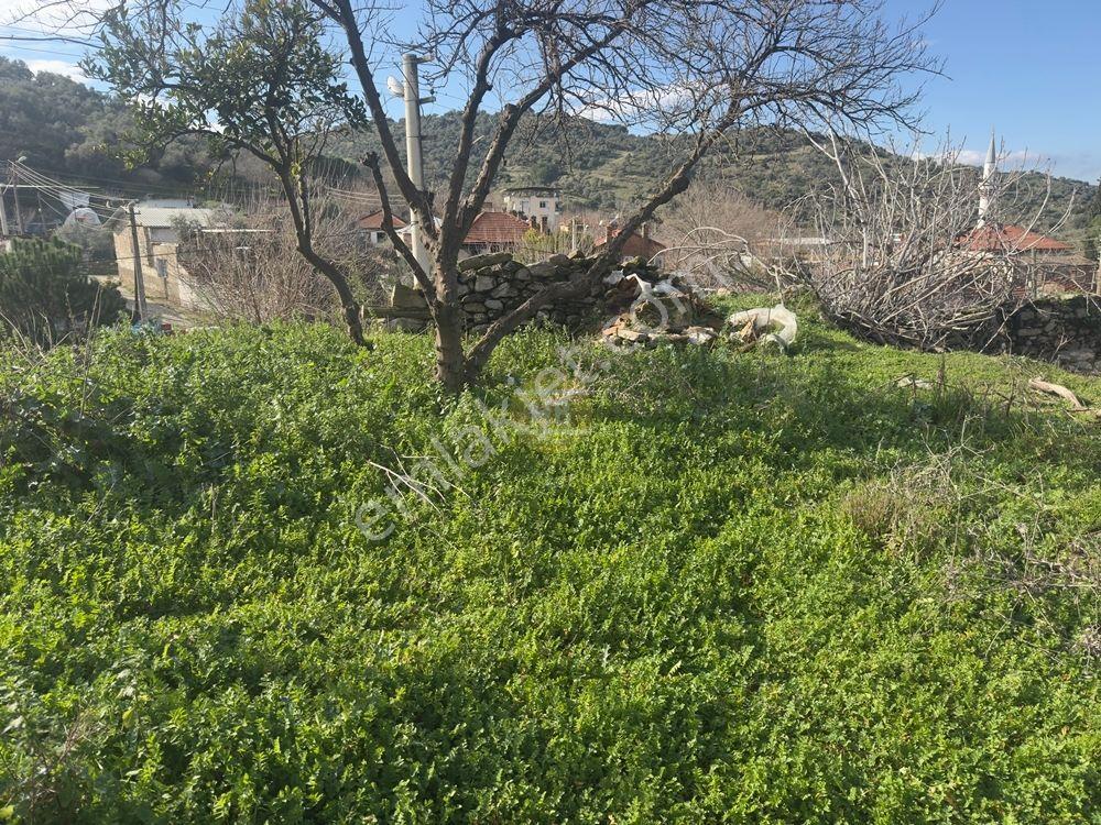 Hb'den Satılık Arsa, 497 M² Köy İçi İmarlı, Doğanın Kalbinde - Görsel 20
