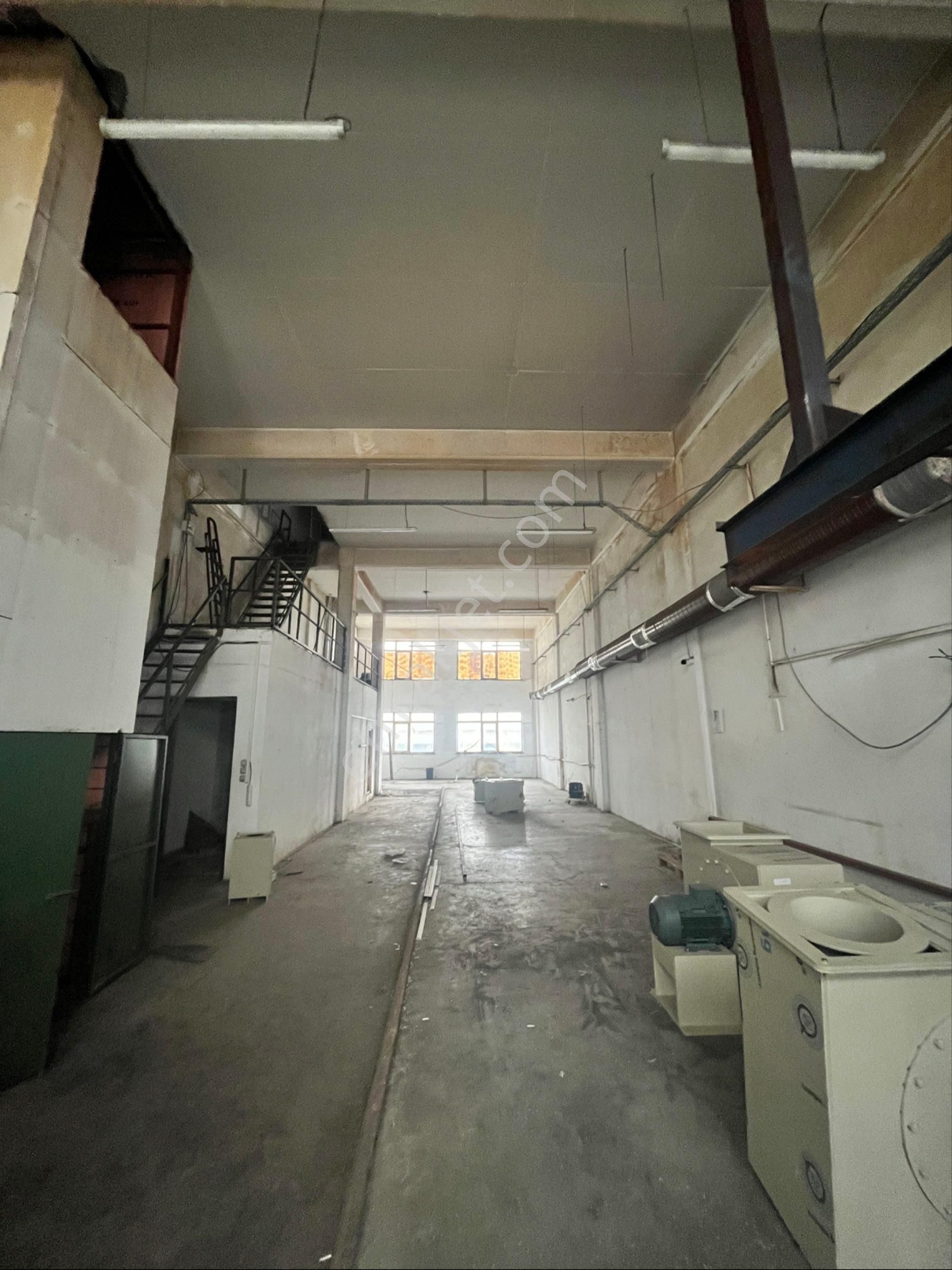 Cila Ve Nikelajcılarda 400m2