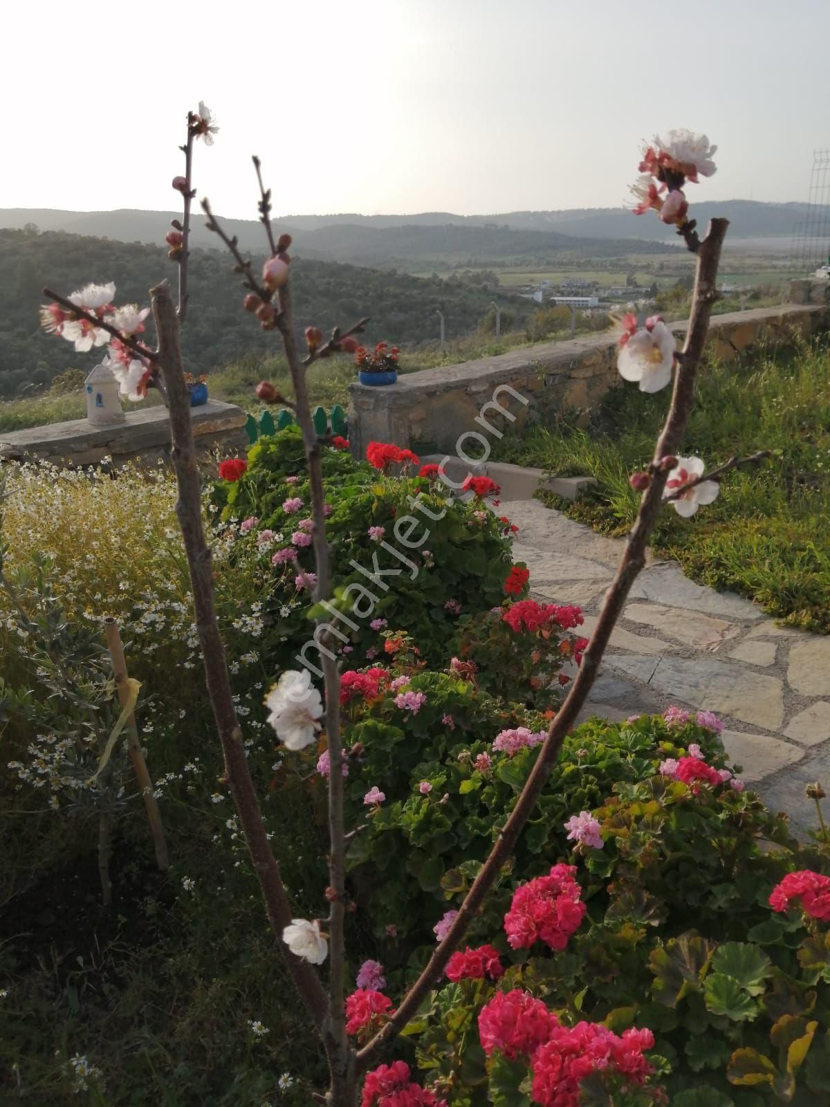 Yazlık Dublex Daire - Görsel 6