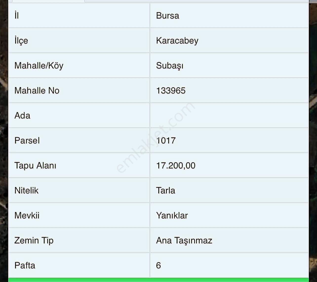 17.200m2 Göl Manzaralı Telçit İle Çevrili Ceviz Bahçesi - Görsel 3