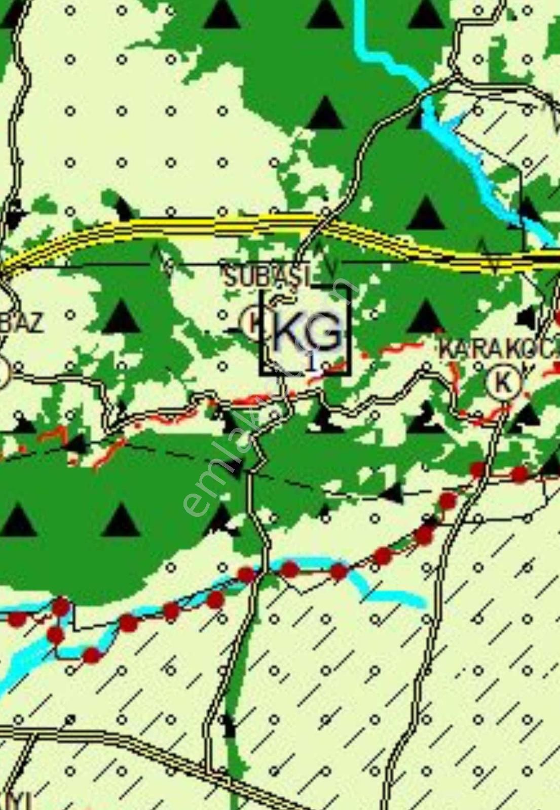4.900m2 Harika Bir Ceviz Bahçesi - Görsel 3