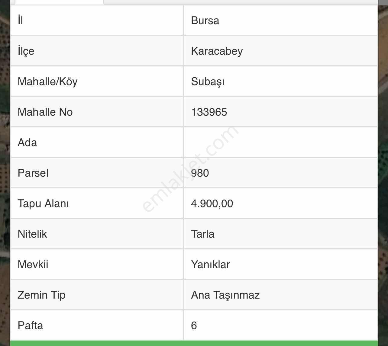 4.900m2 Harika Bir Ceviz Bahçesi - Görsel 2