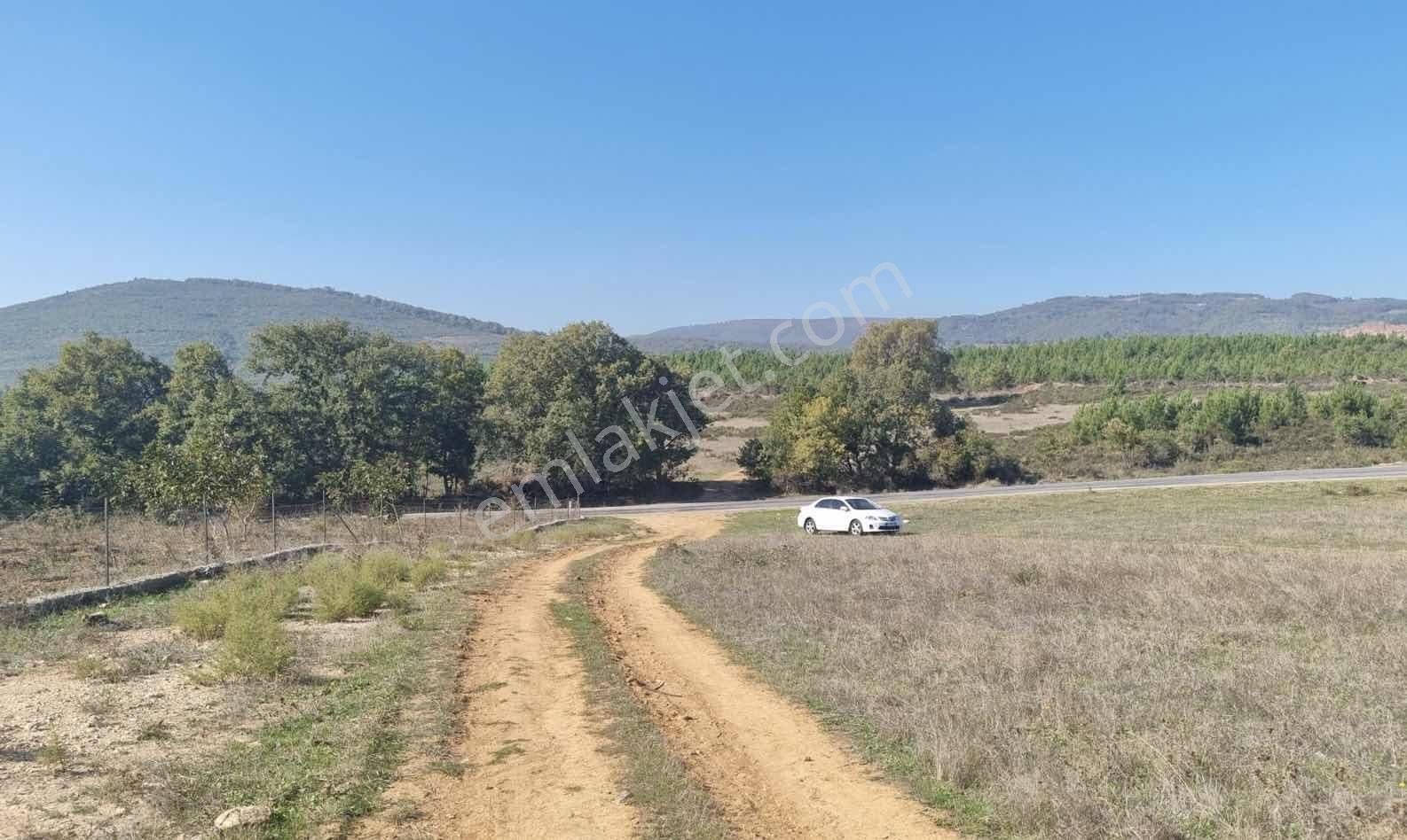 Karamürsel-iznik Orhangazi Asfaltına Cephe Tarla - Görsel 19