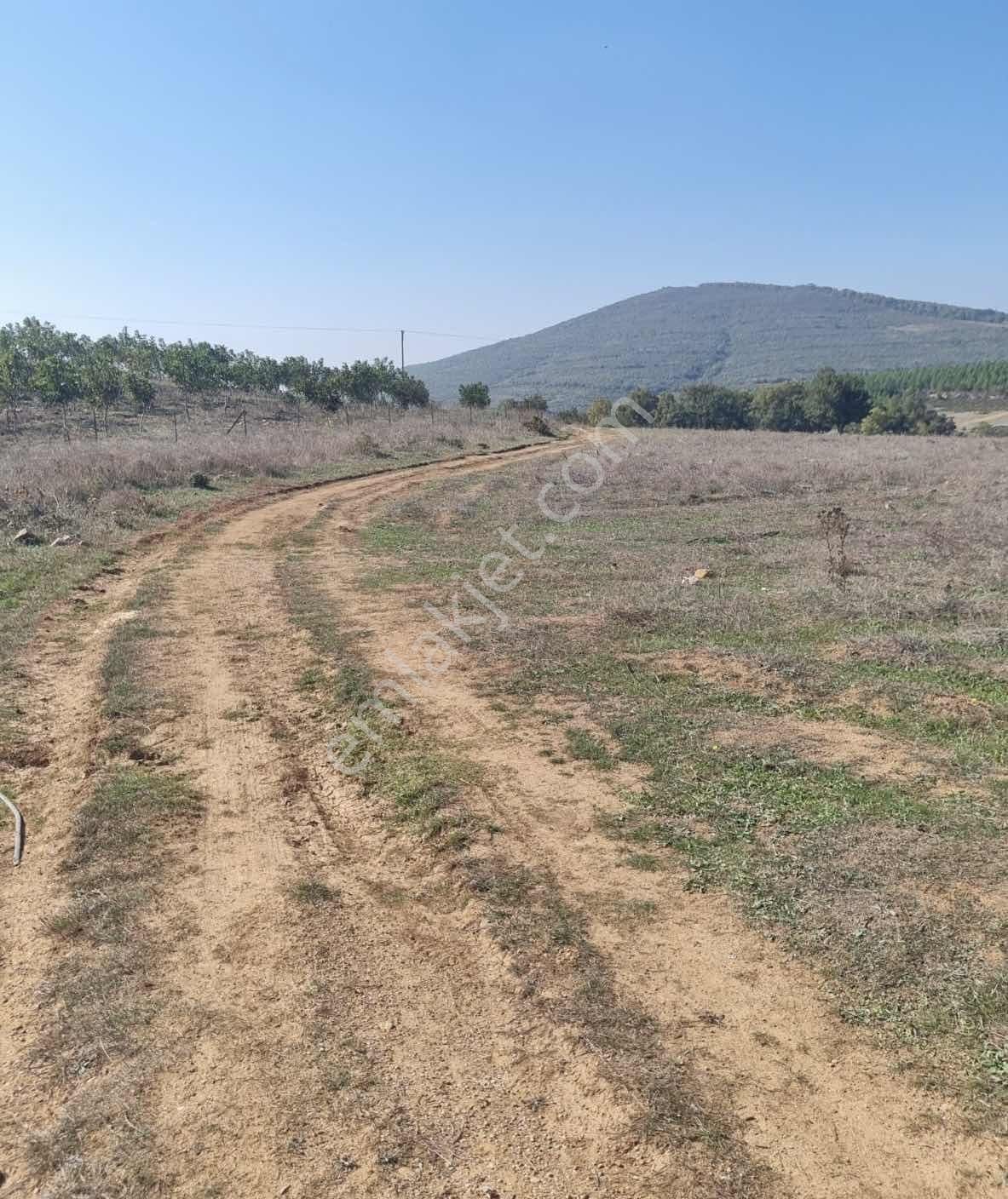 Karamürsel-iznik Orhangazi Asfaltına Cephe Tarla - Görsel 7