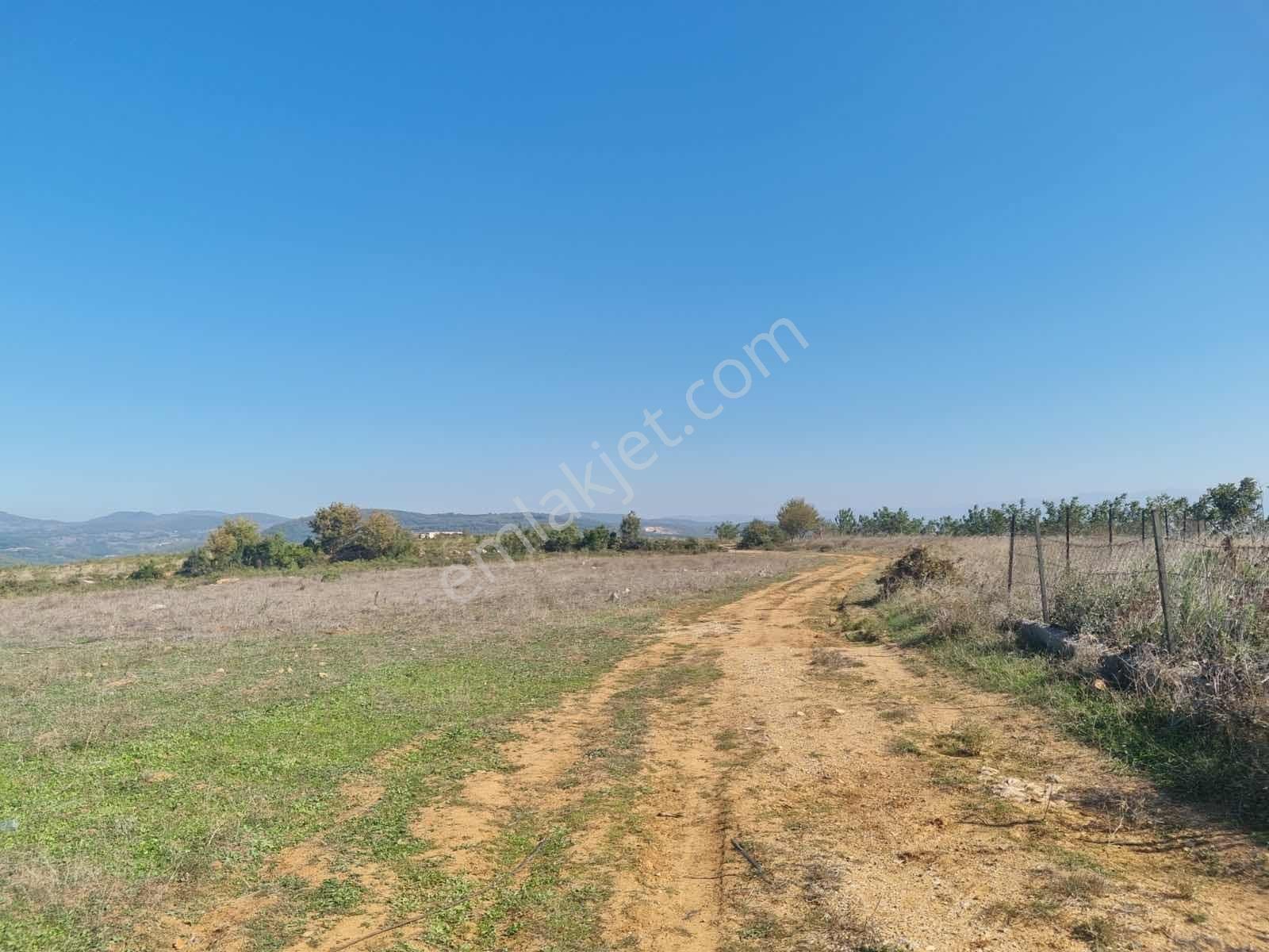 Karamürsel-iznik Orhangazi Asfaltına Cephe Tarla - Görsel 21