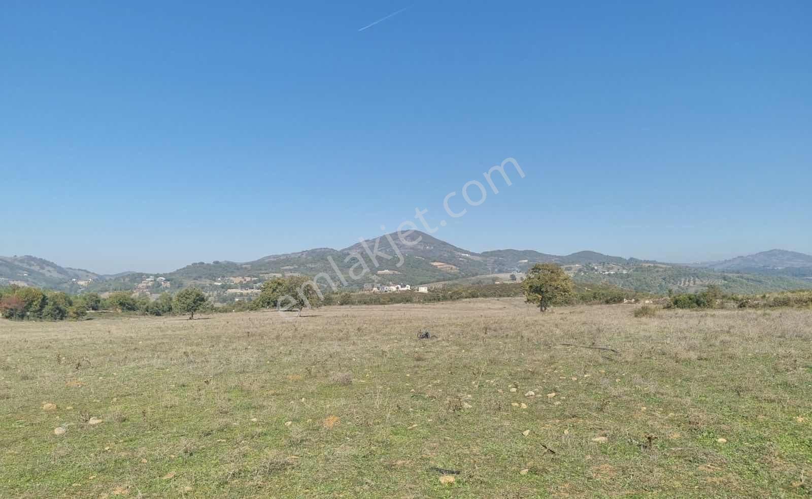 Karamürsel-iznik Orhangazi Asfaltına Cephe Tarla - Görsel 16