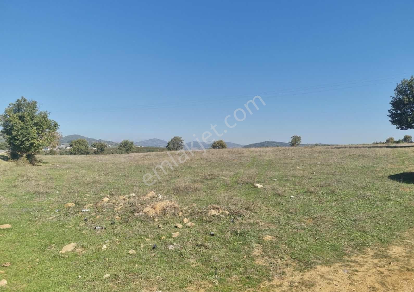 Karamürsel-iznik Orhangazi Asfaltına Cephe Tarla - Görsel 2