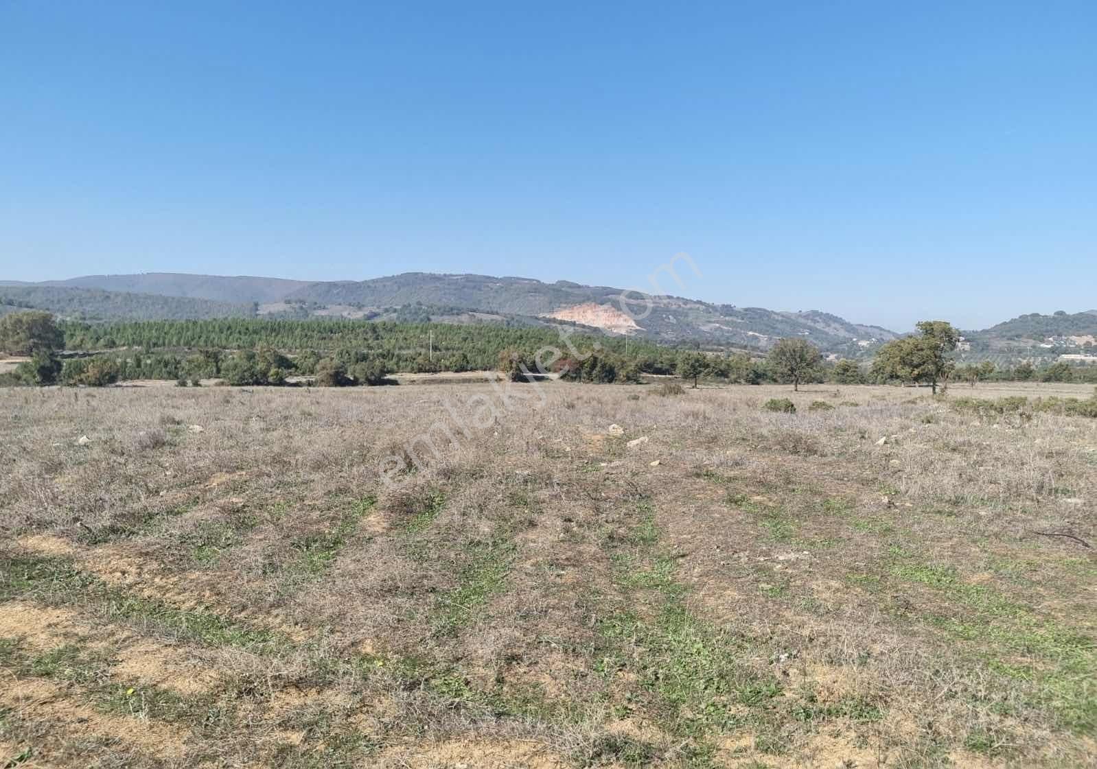 Karamürsel-iznik Orhangazi Asfaltına Cephe Tarla - Görsel 23