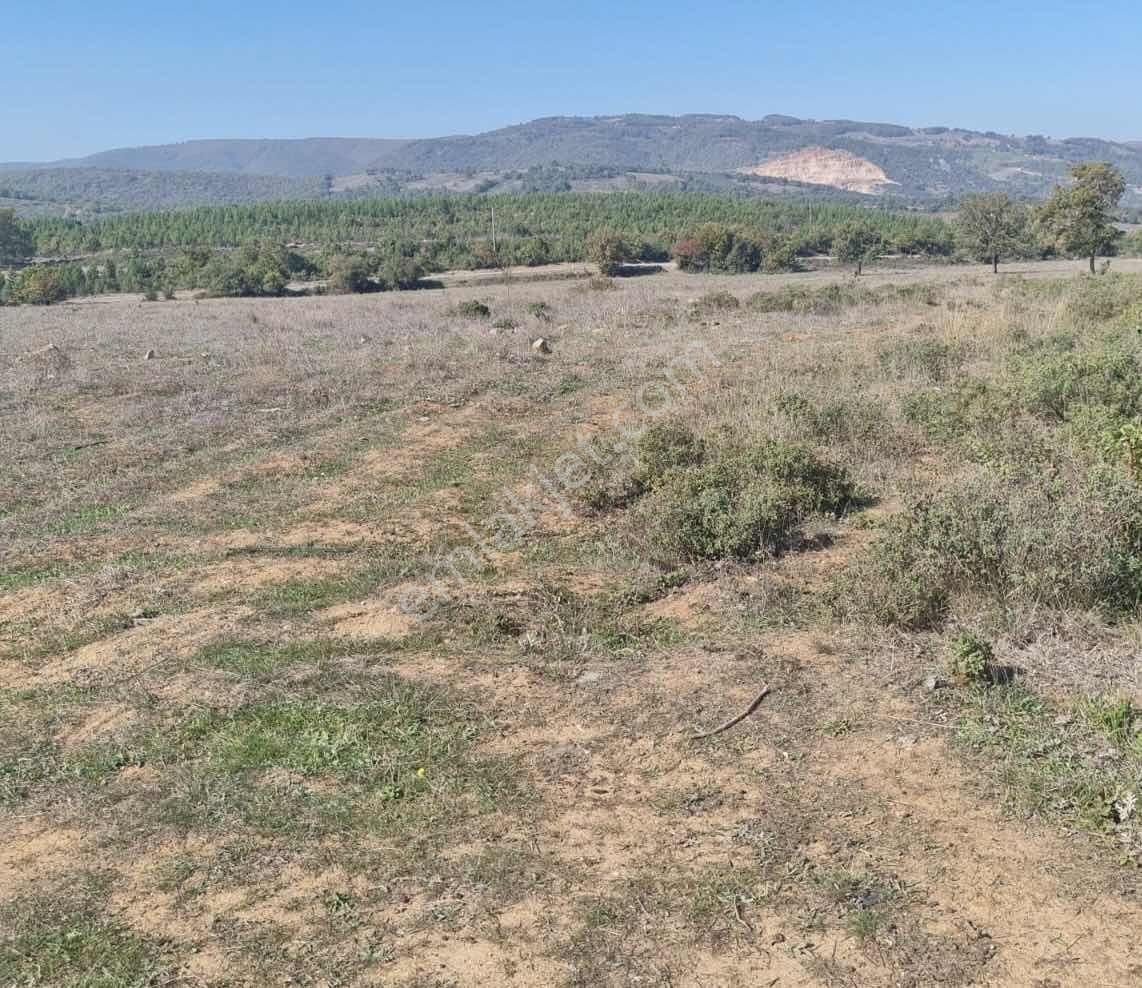 Karamürsel-iznik Orhangazi Asfaltına Cephe Tarla - Görsel 11