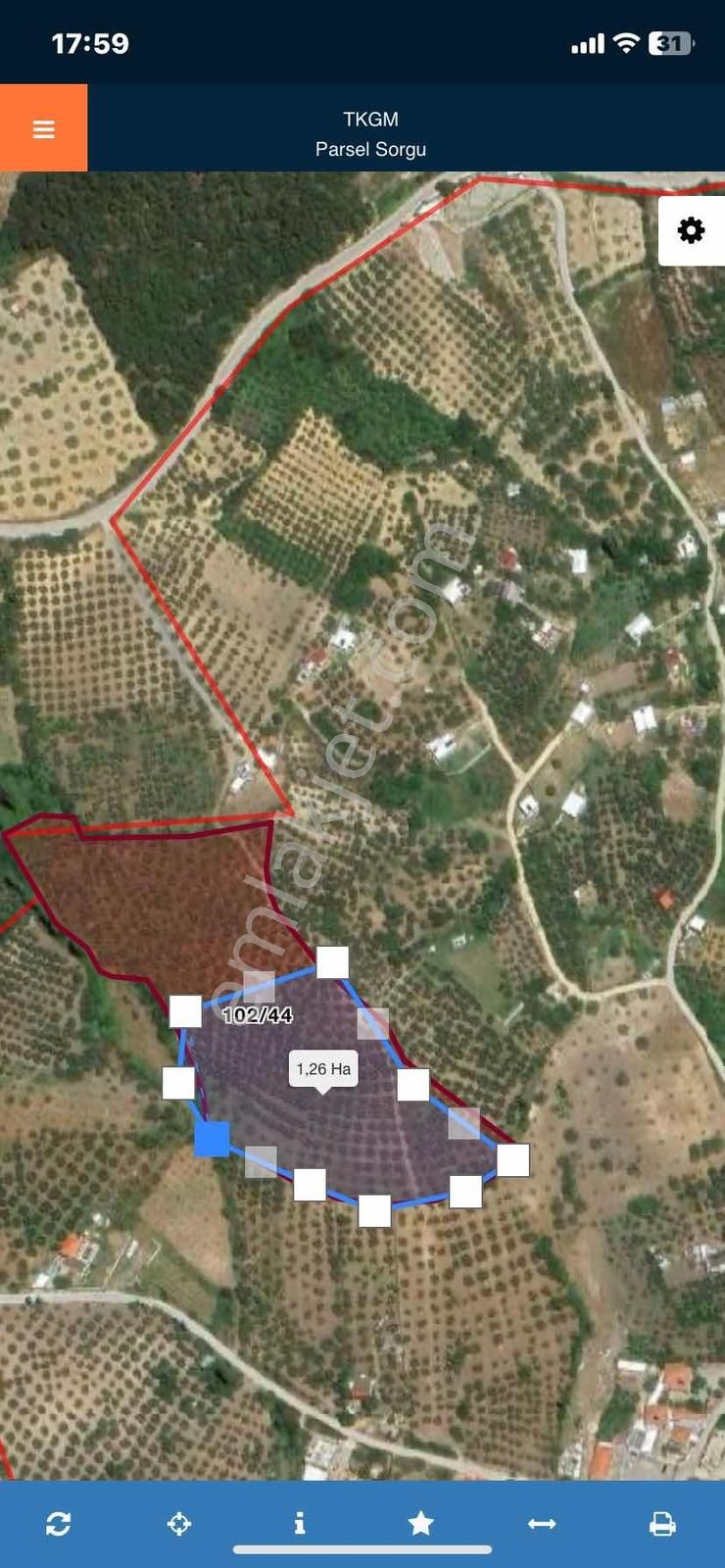 Mudanya Akköy De Köy Merkezine 250 Metre Mesafede Zeytinlik