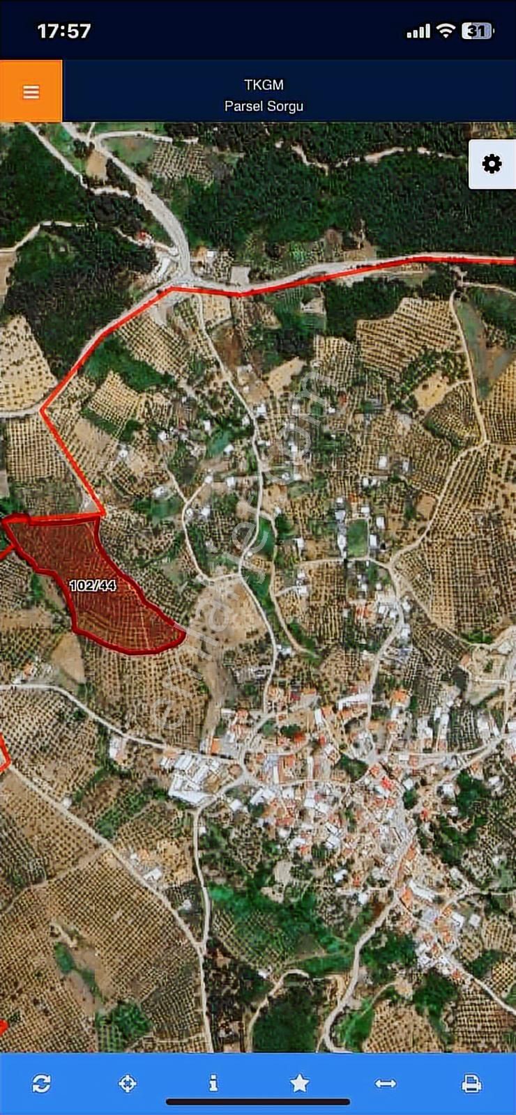 Mudanya Akköy De Köy Merkezine 250 Metre Mesafede Zeytinlik - Görsel 2