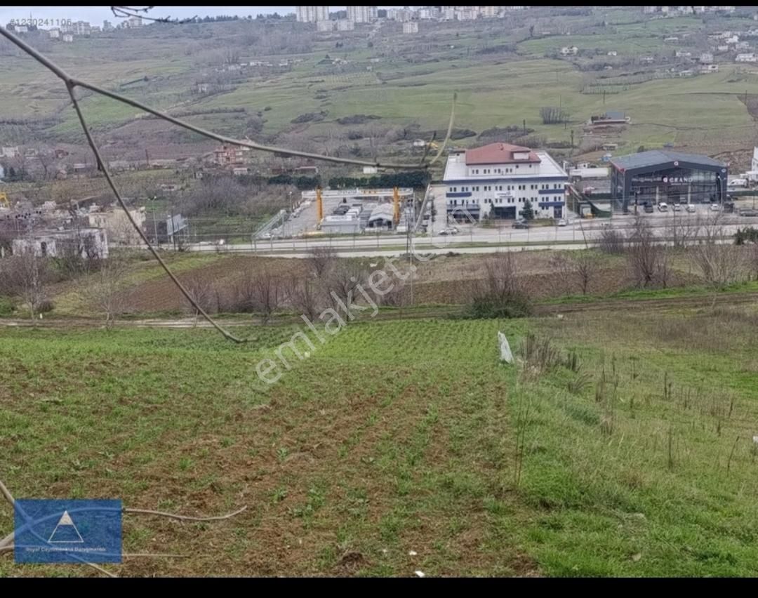 Royal Gayrimenkulden Derecik'te Ticari İmarlı Satılık Arsa(t2.) - Görsel 5