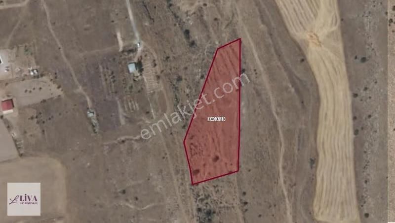 Liva'dan Reşadiye'de İmara Yakın 427 M² Hisseli Bağ - Görsel 4