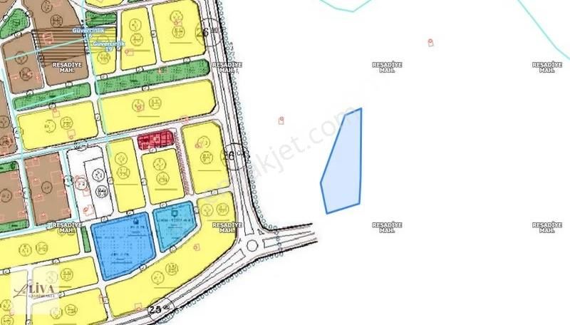 Liva'dan Reşadiye'de İmara Yakın 427 M² Hisseli Bağ
