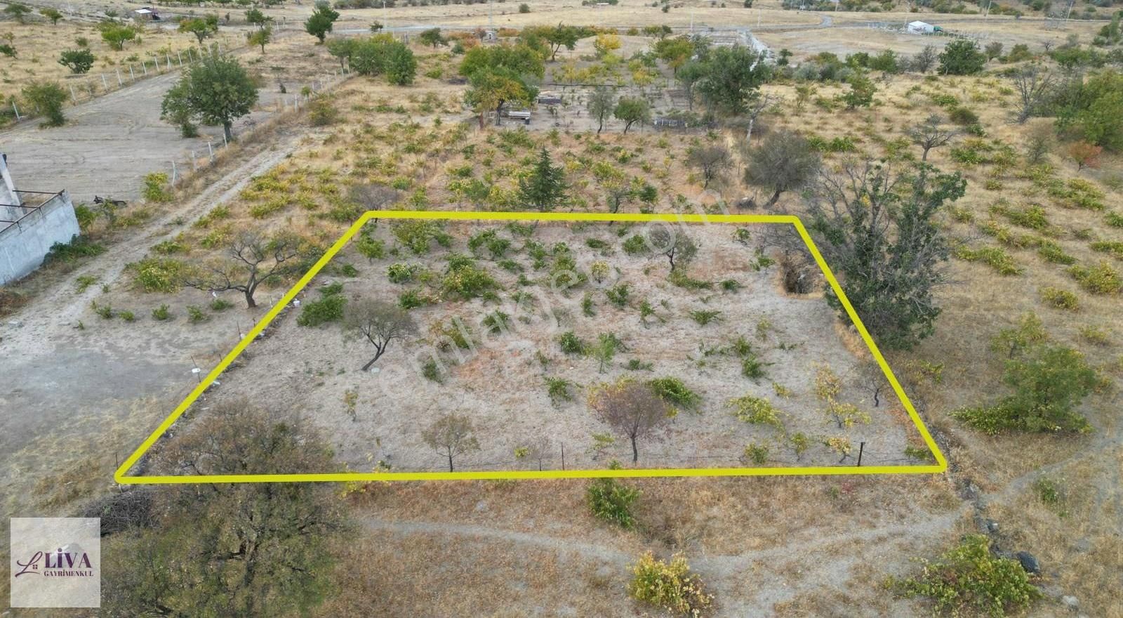 Liva'dan Reşadiye'de Rızai Taksimli Manzaralı 688 M² Bağ - Görsel 8