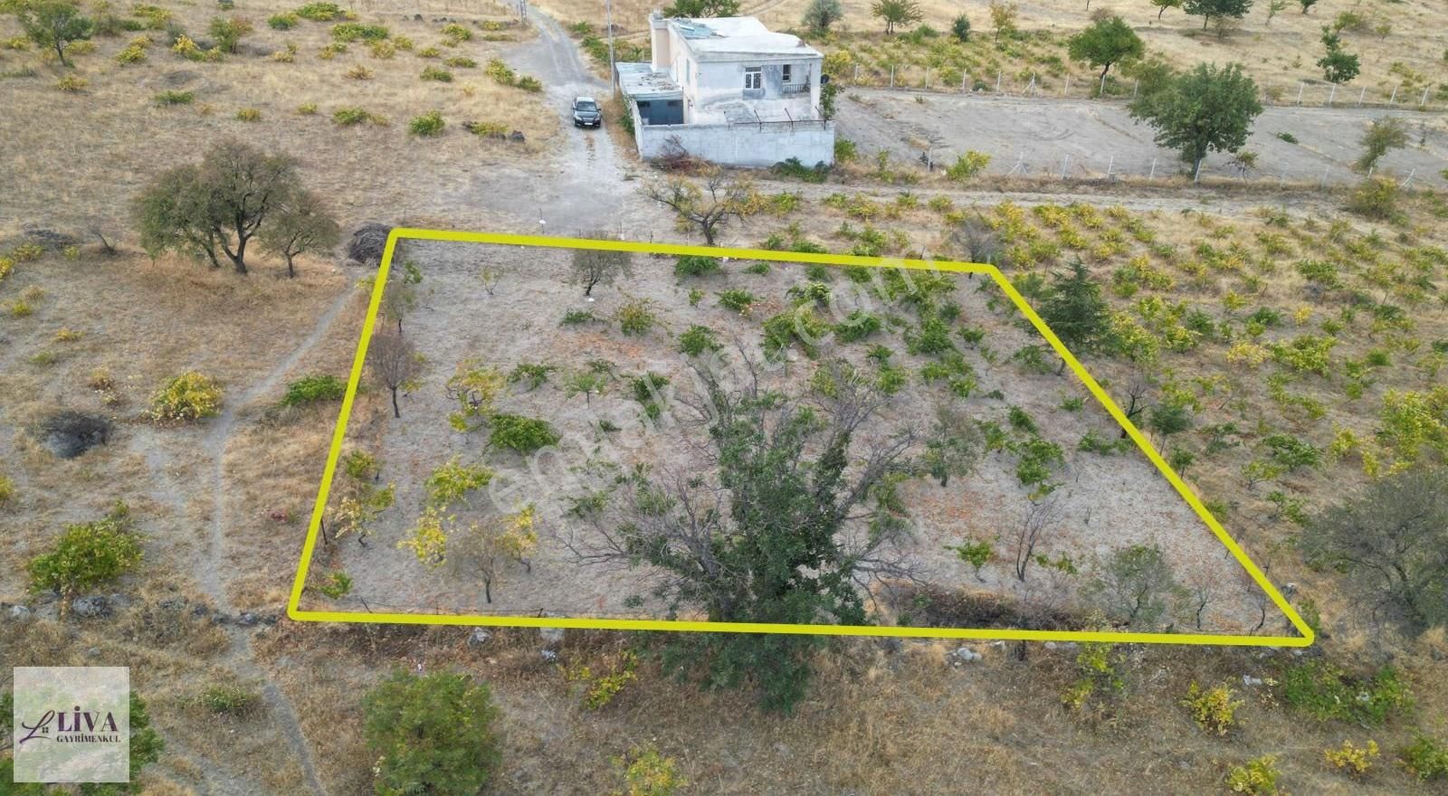 Liva'dan Reşadiye'de Rızai Taksimli Manzaralı 688 M² Bağ
