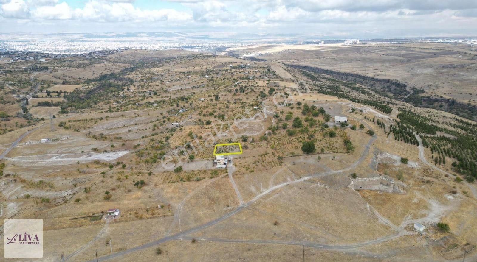 Liva'dan Reşadiye'de Rızai Taksimli Manzaralı 688 M² Bağ - Görsel 3