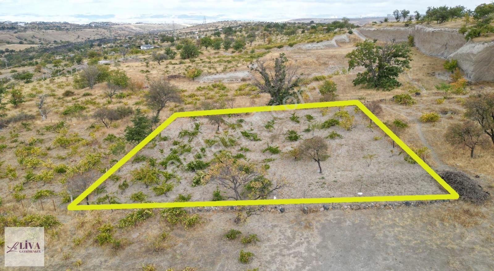 Liva'dan Reşadiye'de Rızai Taksimli Manzaralı 688 M² Bağ - Görsel 13