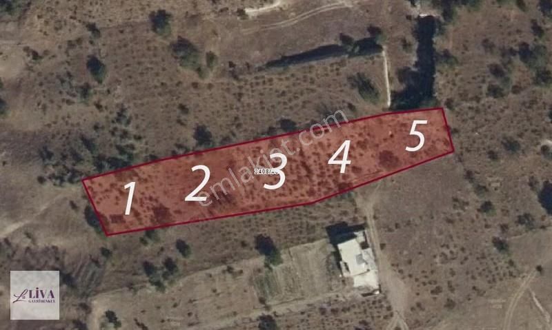 Liva'dan Reşadiye'de Rızai Taksimli Manzaralı 688 M² Bağ - Görsel 11
