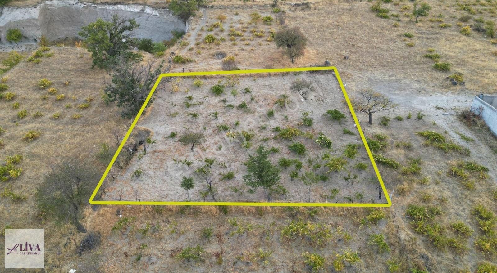 Liva'dan Reşadiye'de Rızai Taksimli Manzaralı 688 M² Bağ - Görsel 5
