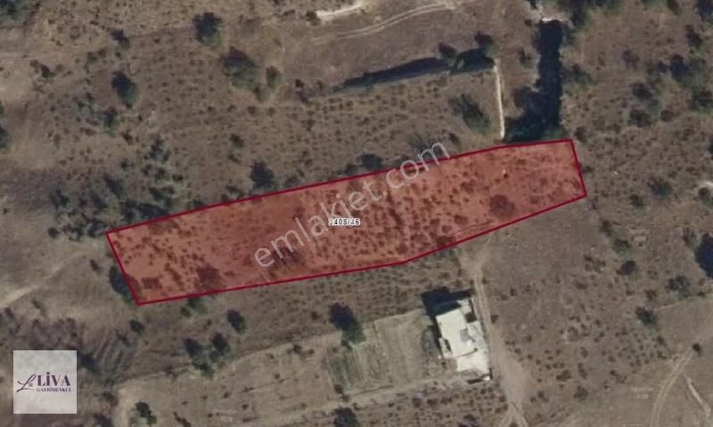 Liva'dan Reşadiye'de Rızai Taksimli Manzaralı 688 M² Bağ - Görsel 12