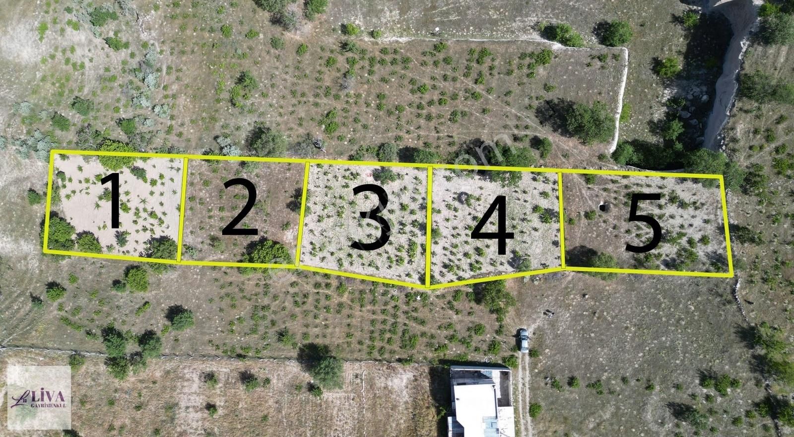 Liva'dan Reşadiye'de Rızai Taksimli Manzaralı 688 M² Bağ - Görsel 10