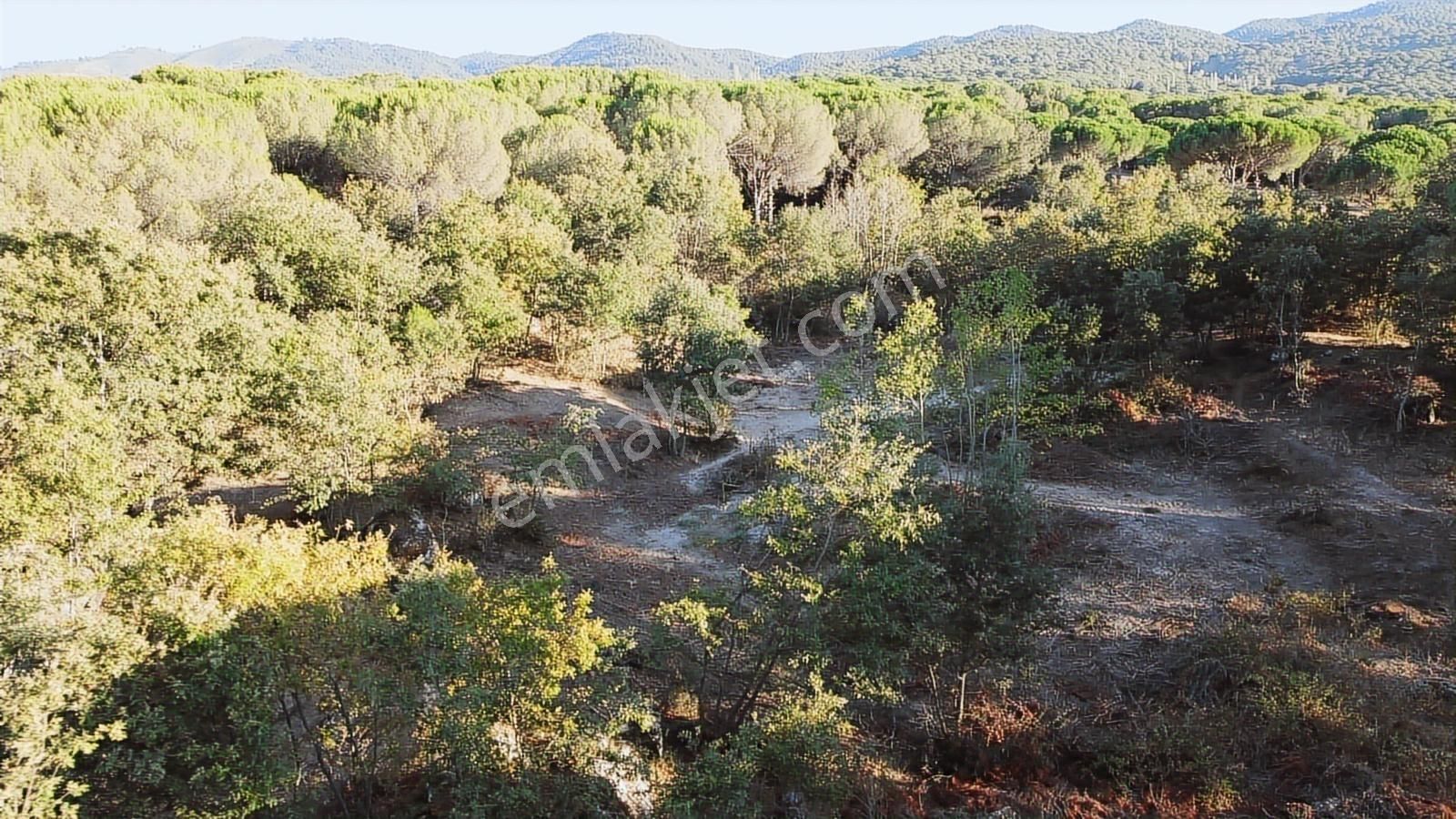 Pinus Gayrimenkul'den///doğayla İç İçe 12.617 M² Satılık Tarla - Görsel 19