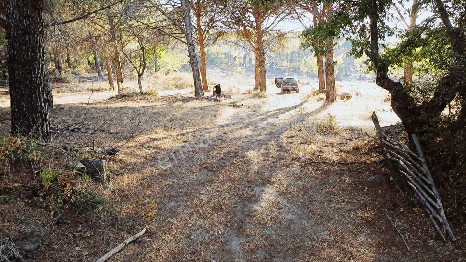 Pinus Gayrimenkul'den///doğayla İç İçe 12.617 M² Satılık Tarla - Görsel 9