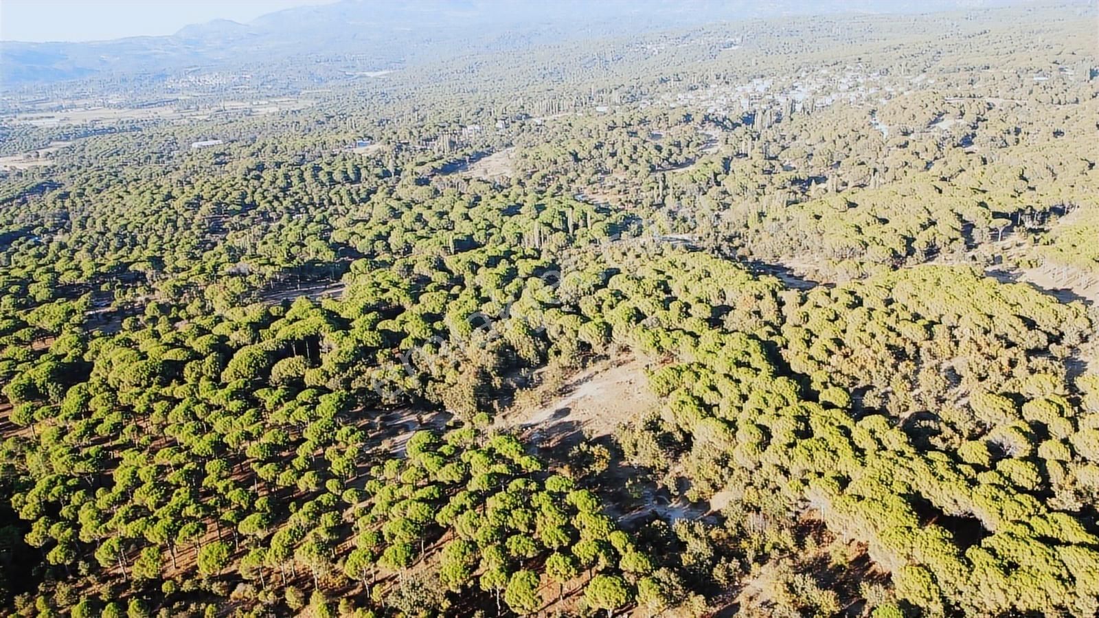 Pinus Gayrimenkul'den///doğayla İç İçe 12.617 M² Satılık Tarla - Görsel 16