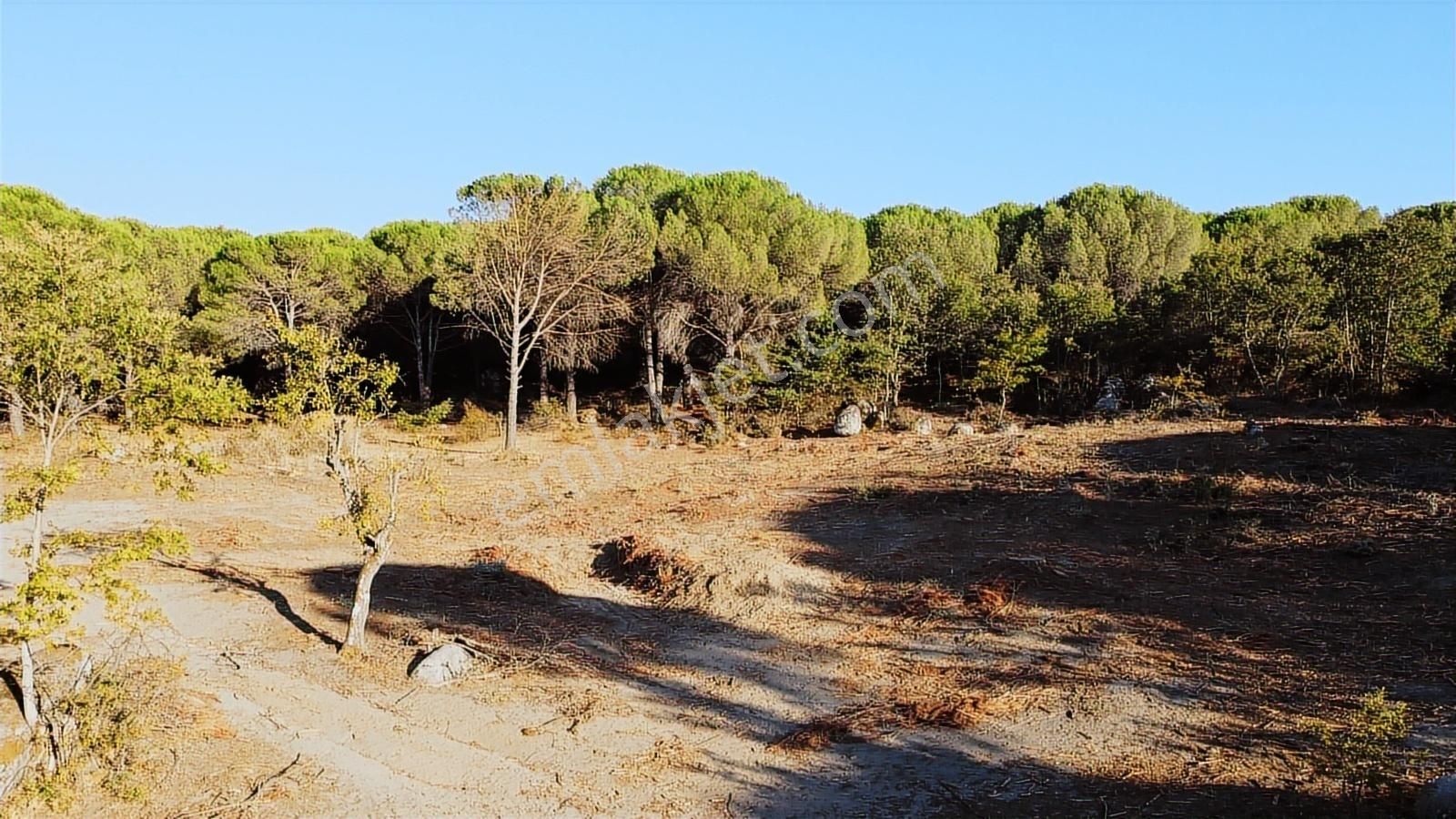 Pinus Gayrimenkul'den///doğayla İç İçe 12.617 M² Satılık Tarla - Görsel 11