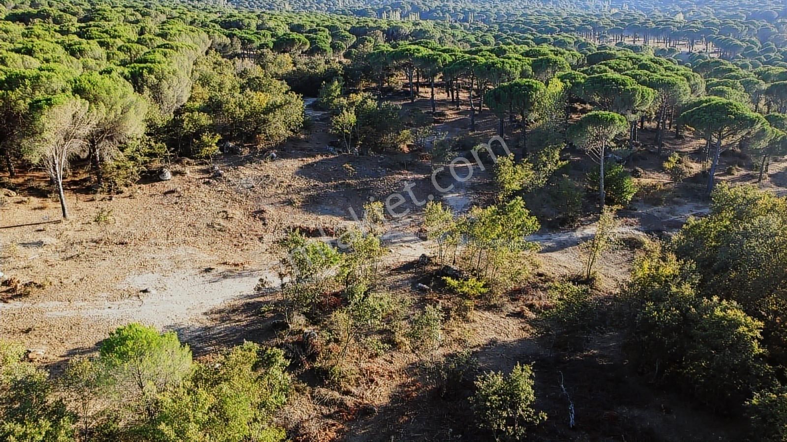 Pinus Gayrimenkul'den///doğayla İç İçe 12.617 M² Satılık Tarla - Görsel 12