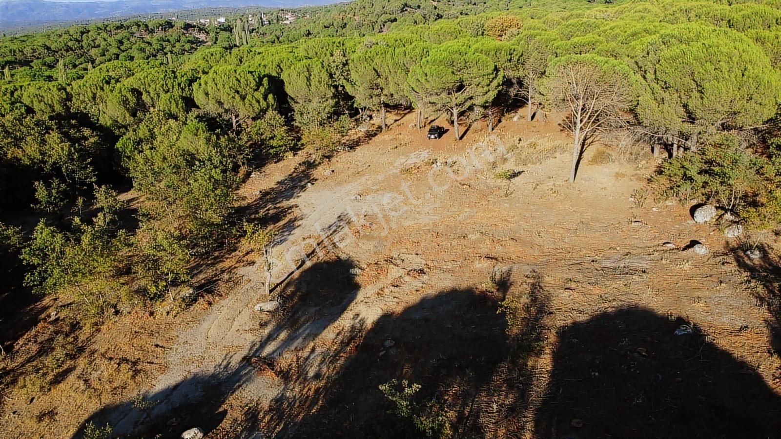 Pinus Gayrimenkul'den///doğayla İç İçe 12.617 M² Satılık Tarla - Görsel 22