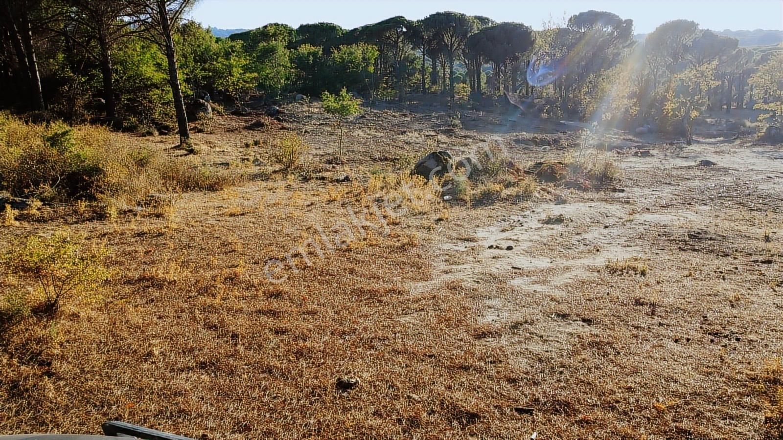 Pinus Gayrimenkul'den///doğayla İç İçe 12.617 M² Satılık Tarla - Görsel 25