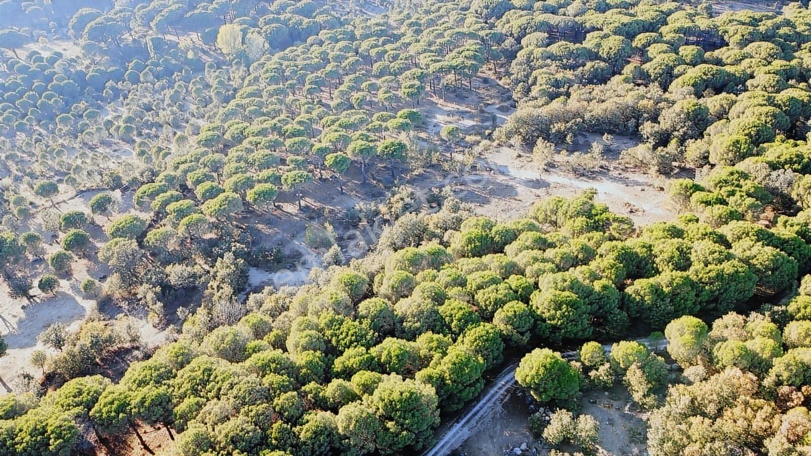 Pinus Gayrimenkul'den///doğayla İç İçe 12.617 M² Satılık Tarla - Görsel 7