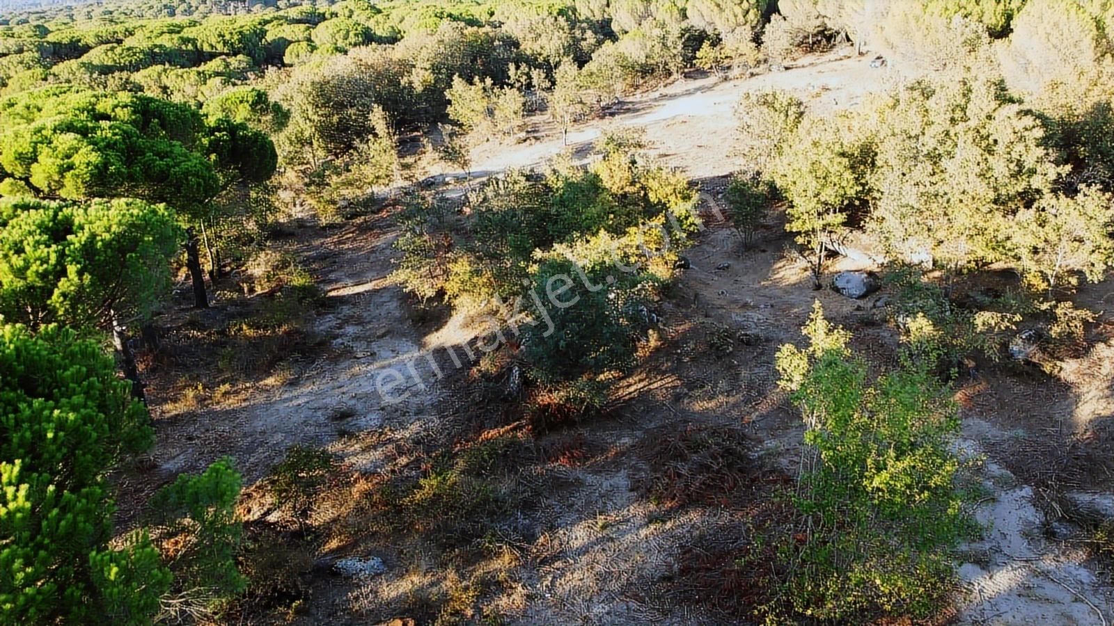 Pinus Gayrimenkul'den///doğayla İç İçe 12.617 M² Satılık Tarla - Görsel 5