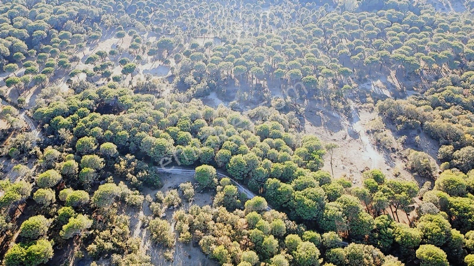 Pinus Gayrimenkul'den///doğayla İç İçe 12.617 M² Satılık Tarla - Görsel 3