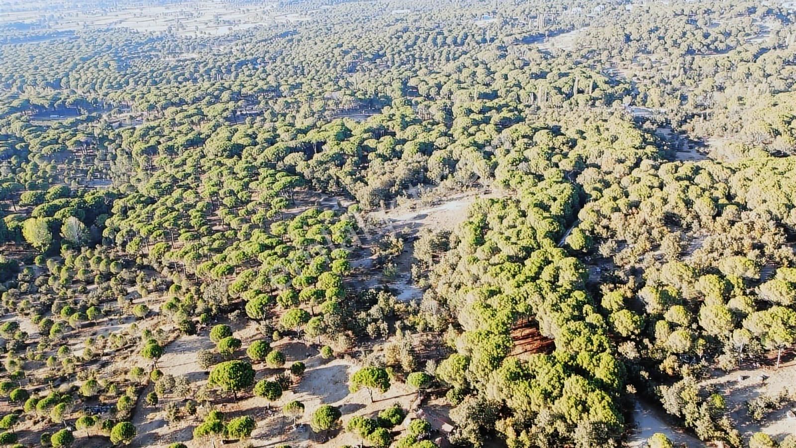 Pinus Gayrimenkul'den///doğayla İç İçe 12.617 M² Satılık Tarla - Görsel 17