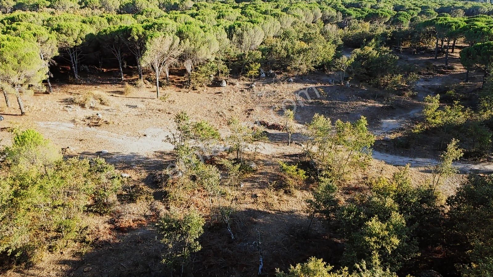 Pinus Gayrimenkul'den///doğayla İç İçe 12.617 M² Satılık Tarla - Görsel 24