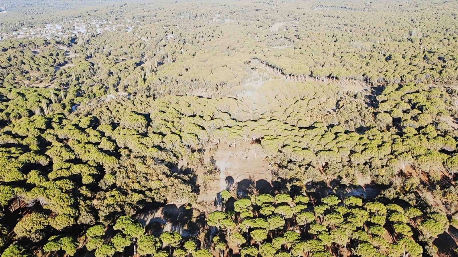 Pinus Gayrimenkul'den///doğayla İç İçe 12.617 M² Satılık Tarla - Görsel 15