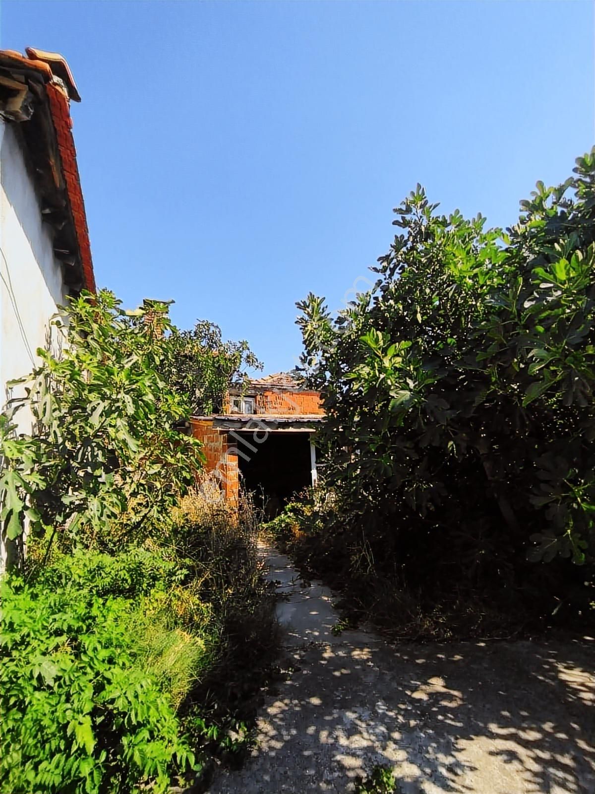 Pinus Gayrimenkul'den//satılık Taş Köyevi - Görsel 10