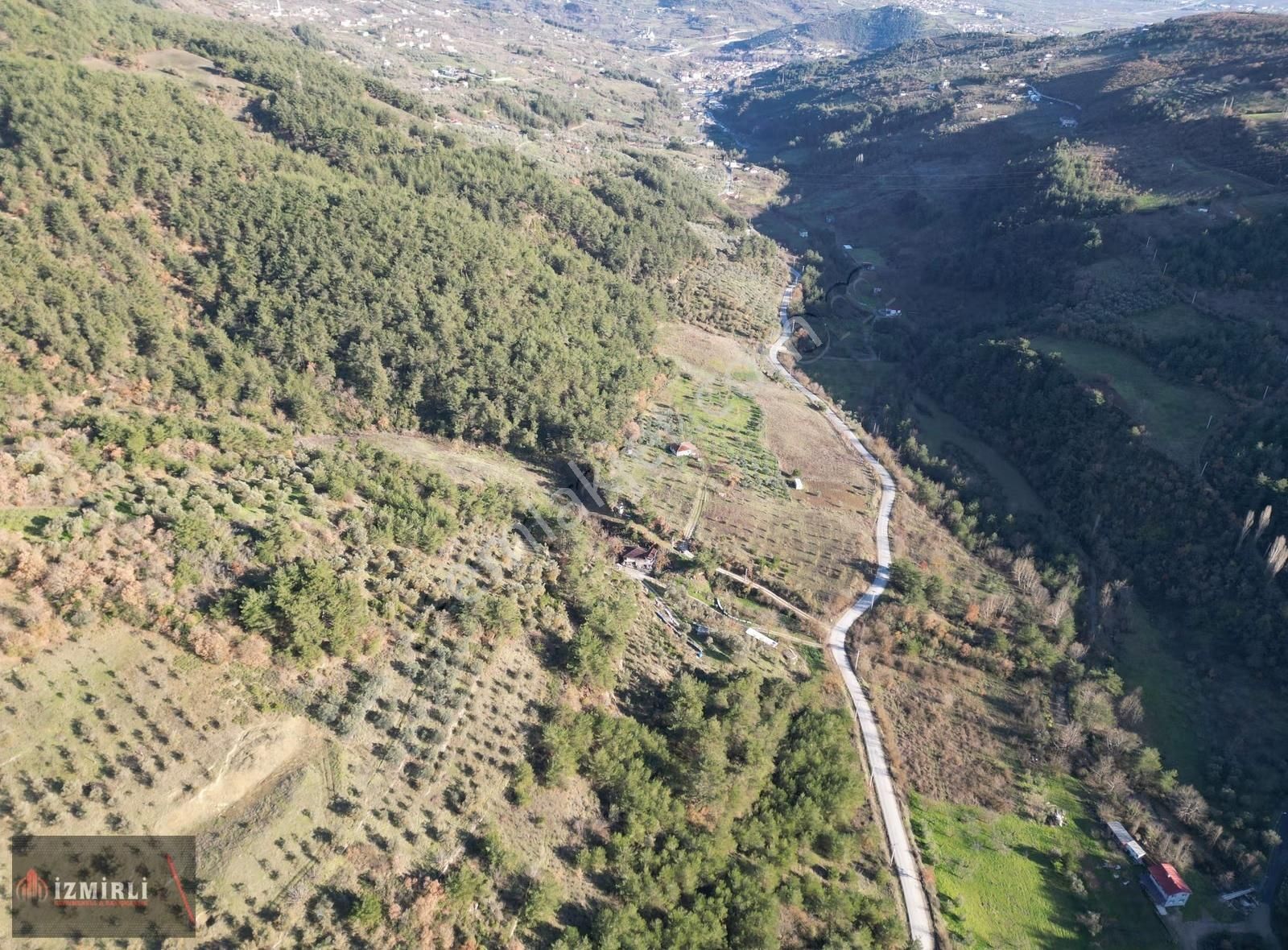 Emlak Ofisinden Satılık 3.0702m² Zeytinlik - Görsel 22