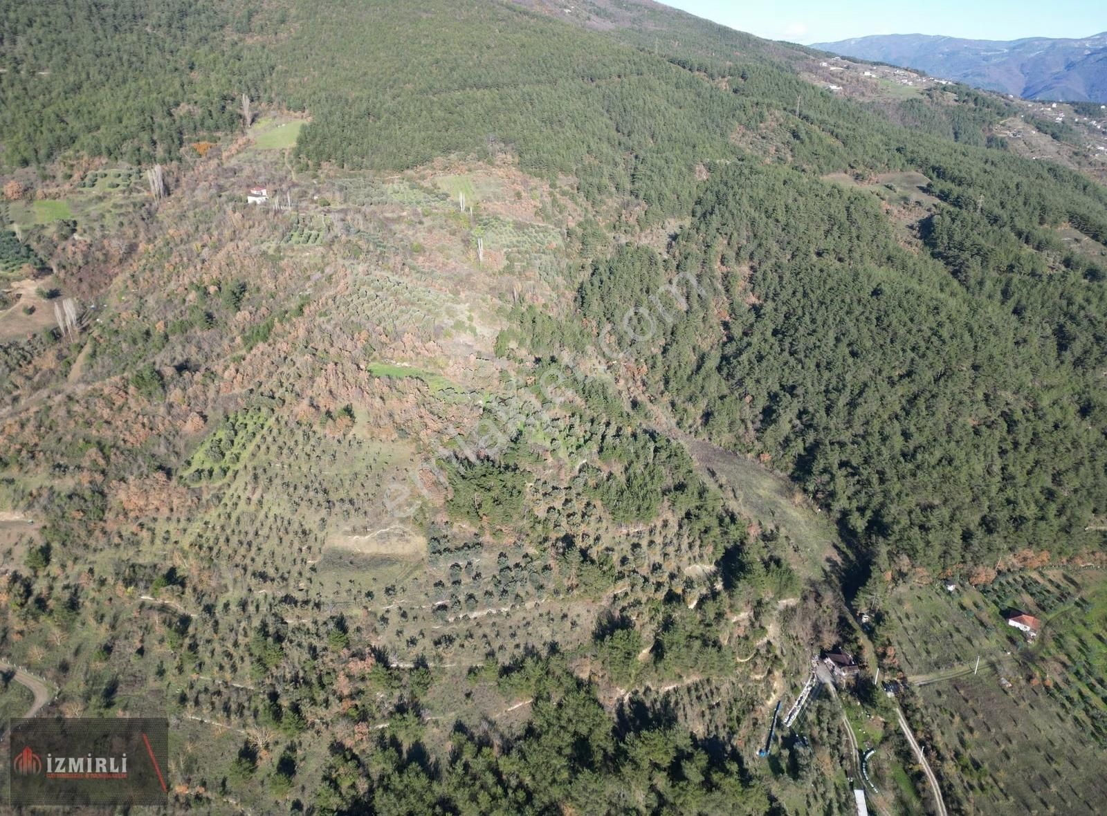 Emlak Ofisinden Satılık 3.0702m² Zeytinlik - Görsel 23