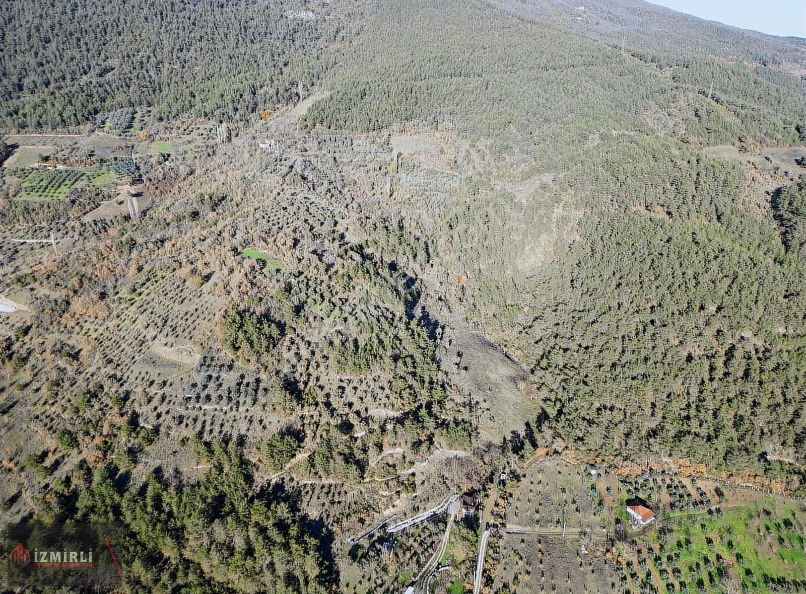 Emlak Ofisinden Satılık 3.0702m² Zeytinlik - Görsel 34