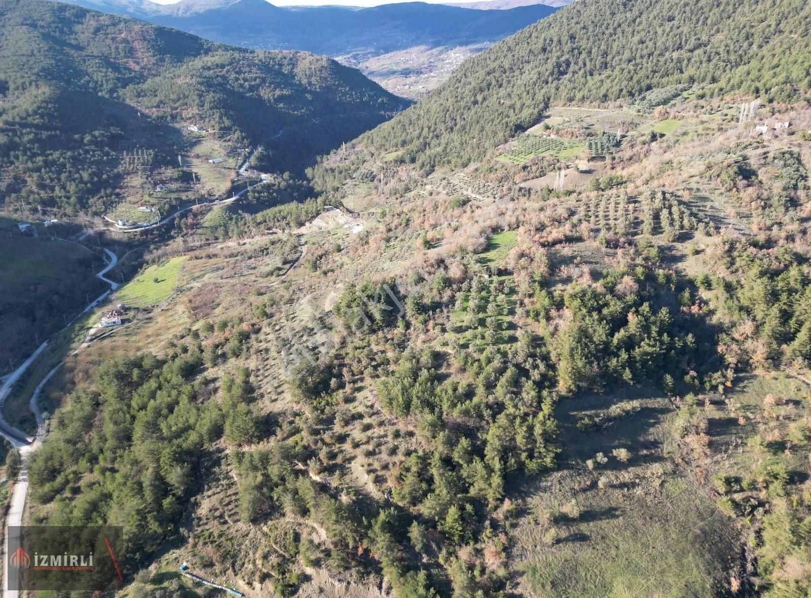 Emlak Ofisinden Satılık 3.0702m² Zeytinlik - Görsel 10