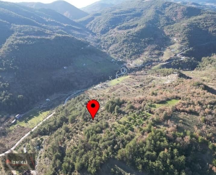 Emlak Ofisinden Satılık 3.0702m² Zeytinlik - Görsel 5