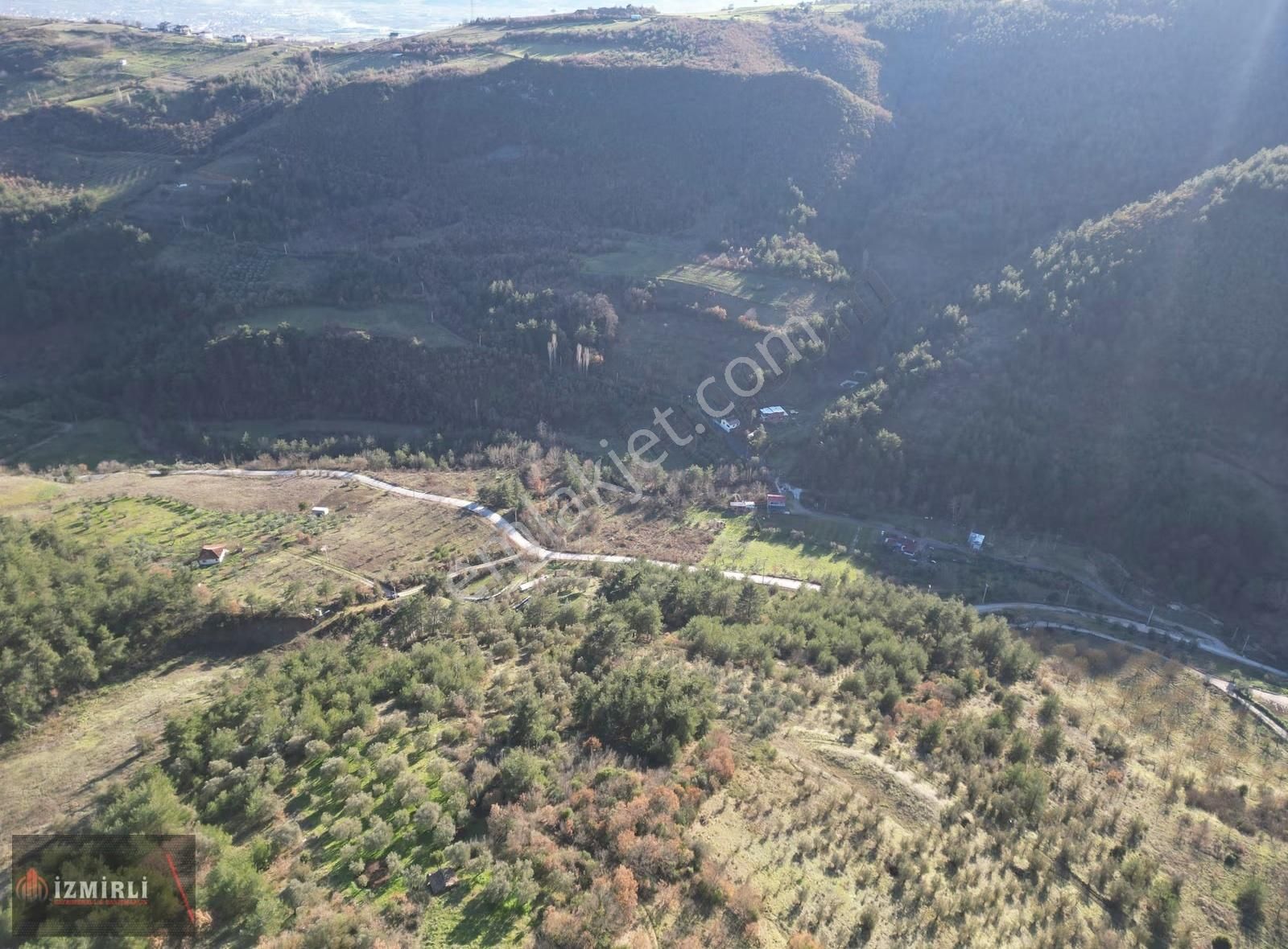 Emlak Ofisinden Satılık 3.0702m² Zeytinlik - Görsel 13