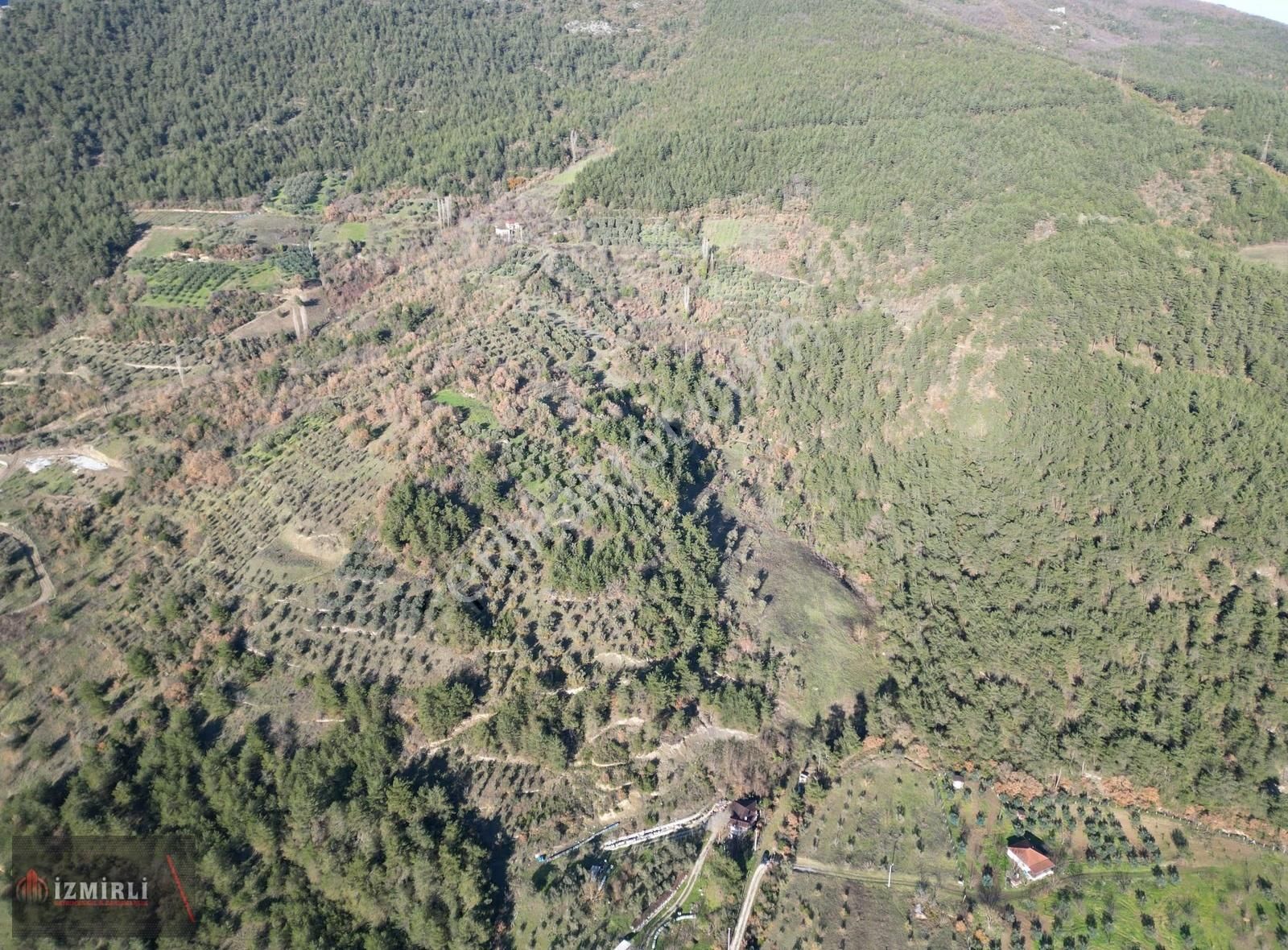 Emlak Ofisinden Satılık 3.0702m² Zeytinlik - Görsel 17