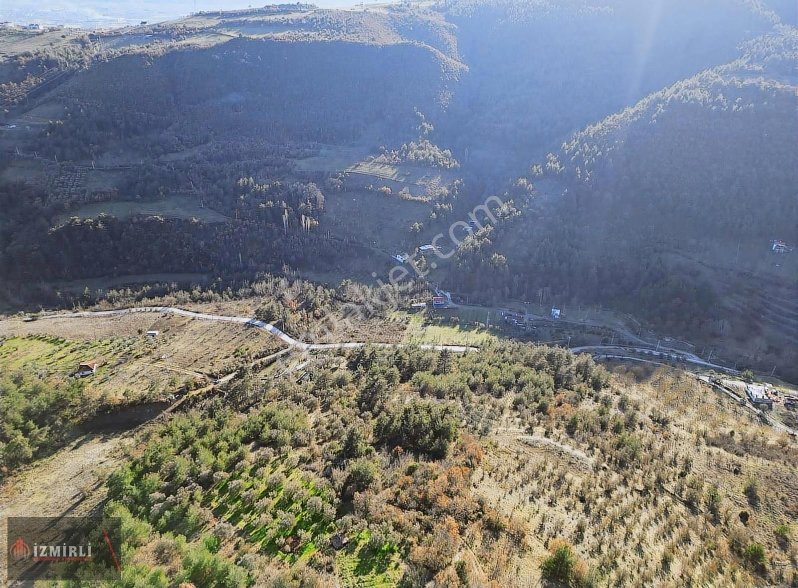 Emlak Ofisinden Satılık 3.0702m² Zeytinlik - Görsel 14